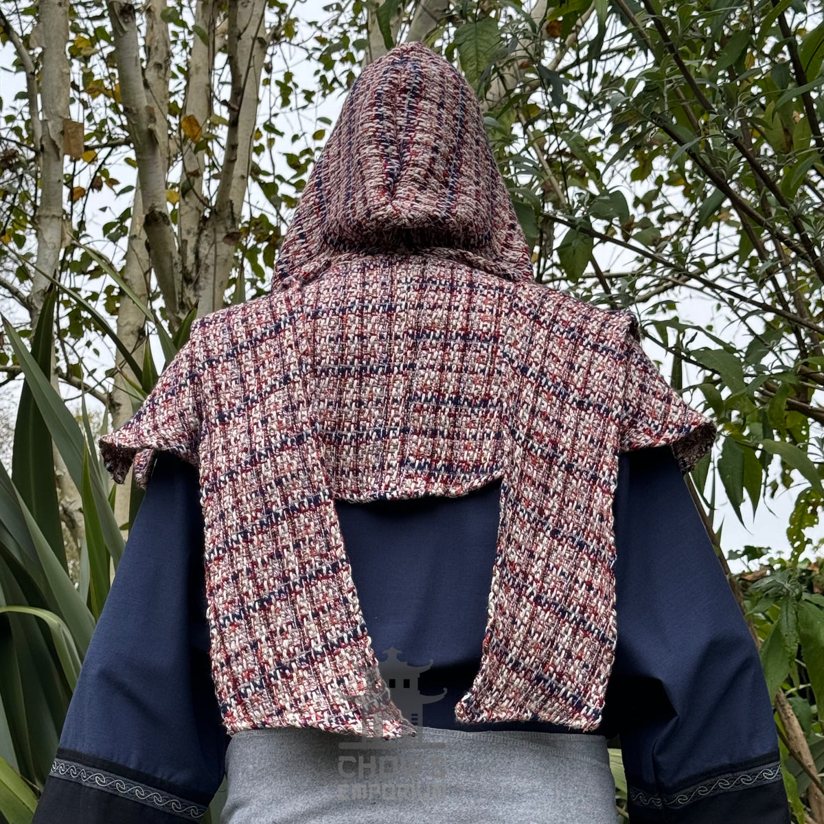 Medieval LARP outfit with blue tunic, red hood, and sash, back view.