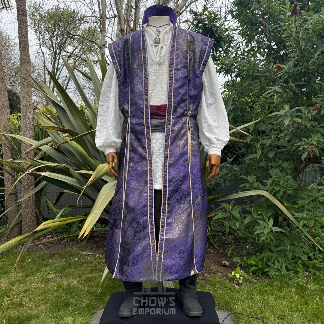 Sorcerers Robe in Purple & Gold