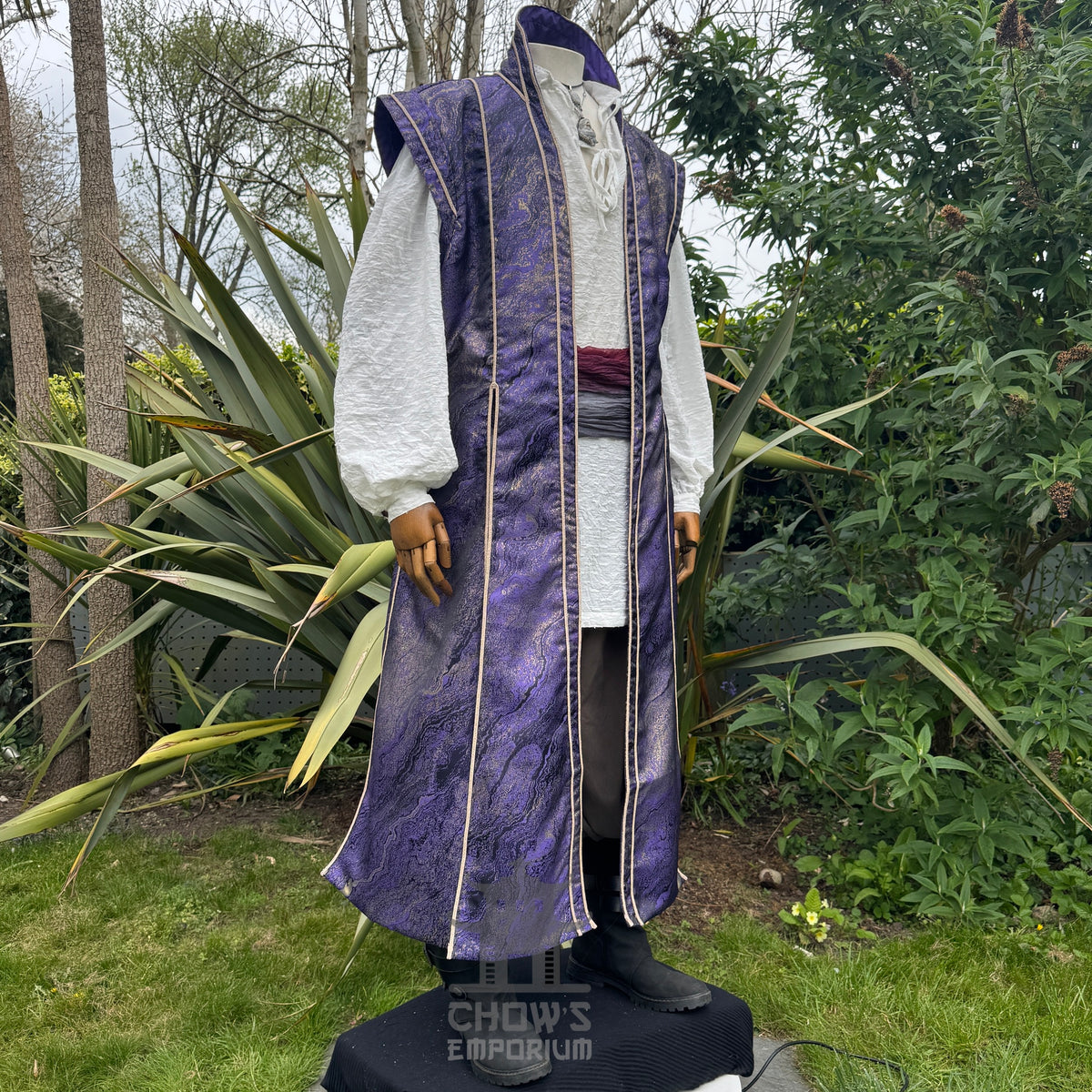 Sorcerers Robe in Purple & Gold