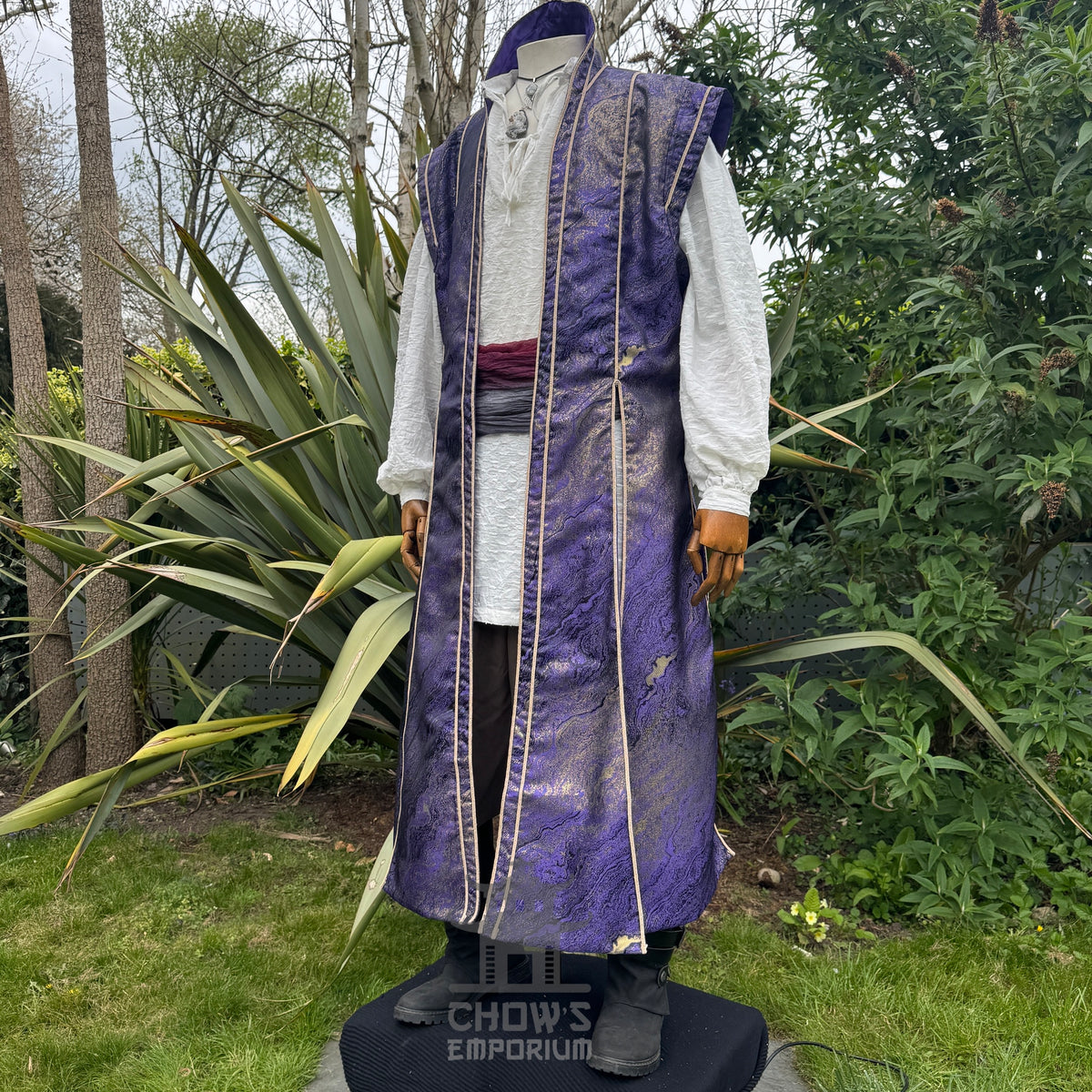 Sorcerers Robe in Purple & Gold