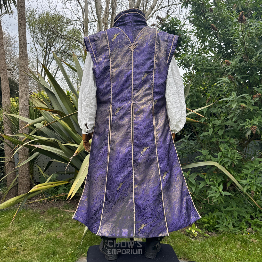Sorcerers Robe in Purple & Gold