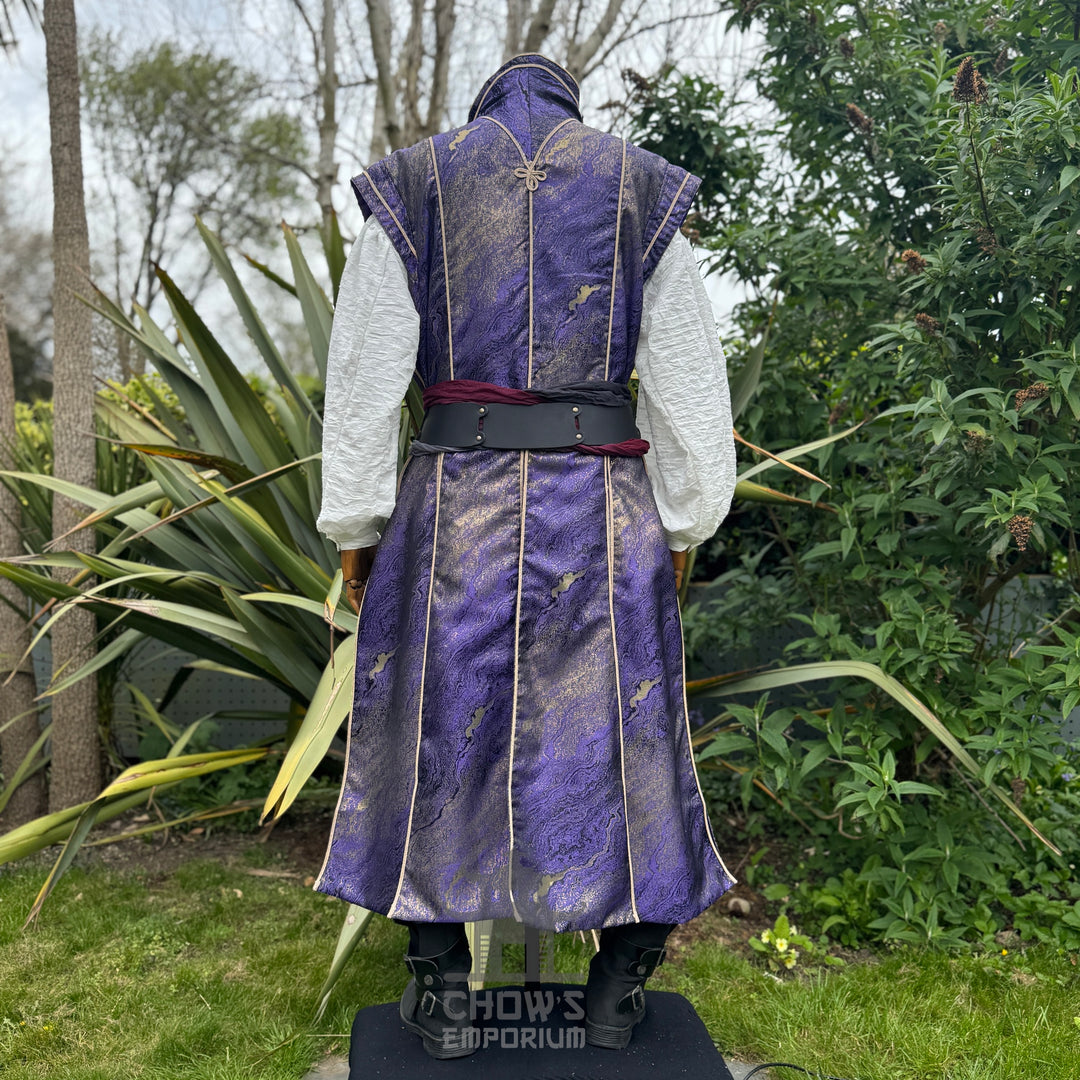 Sorcerers Robe in Purple & Gold