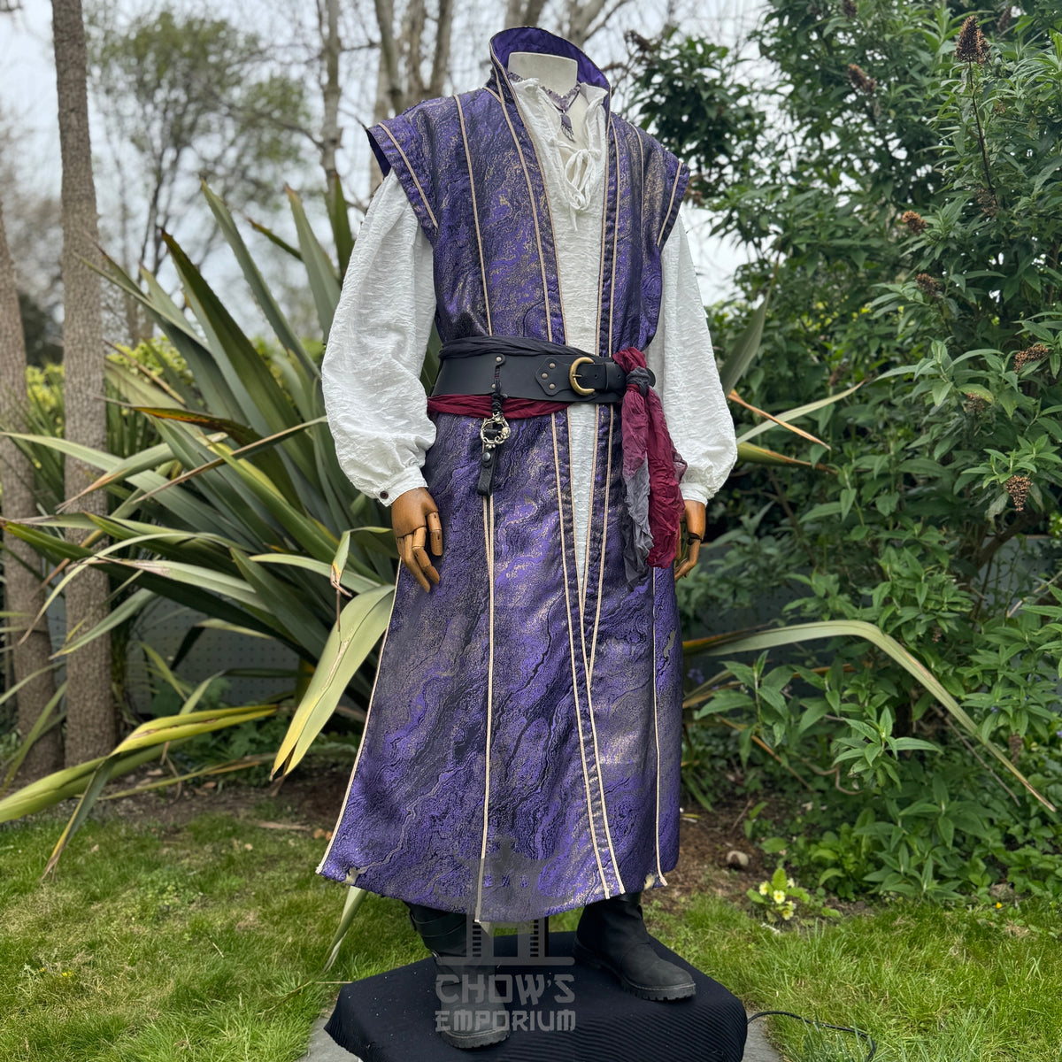 Sorcerers Robe in Purple & Gold