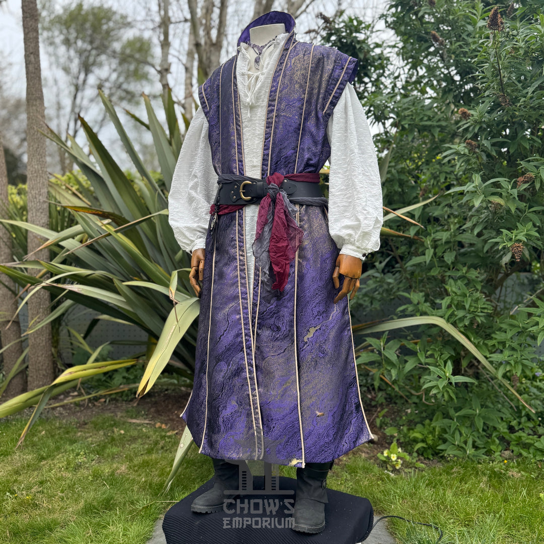 Sorcerers Robe in Purple & Gold