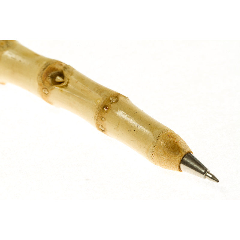 Bamboo pen tip close-up, natural texture for medieval LARP writing.