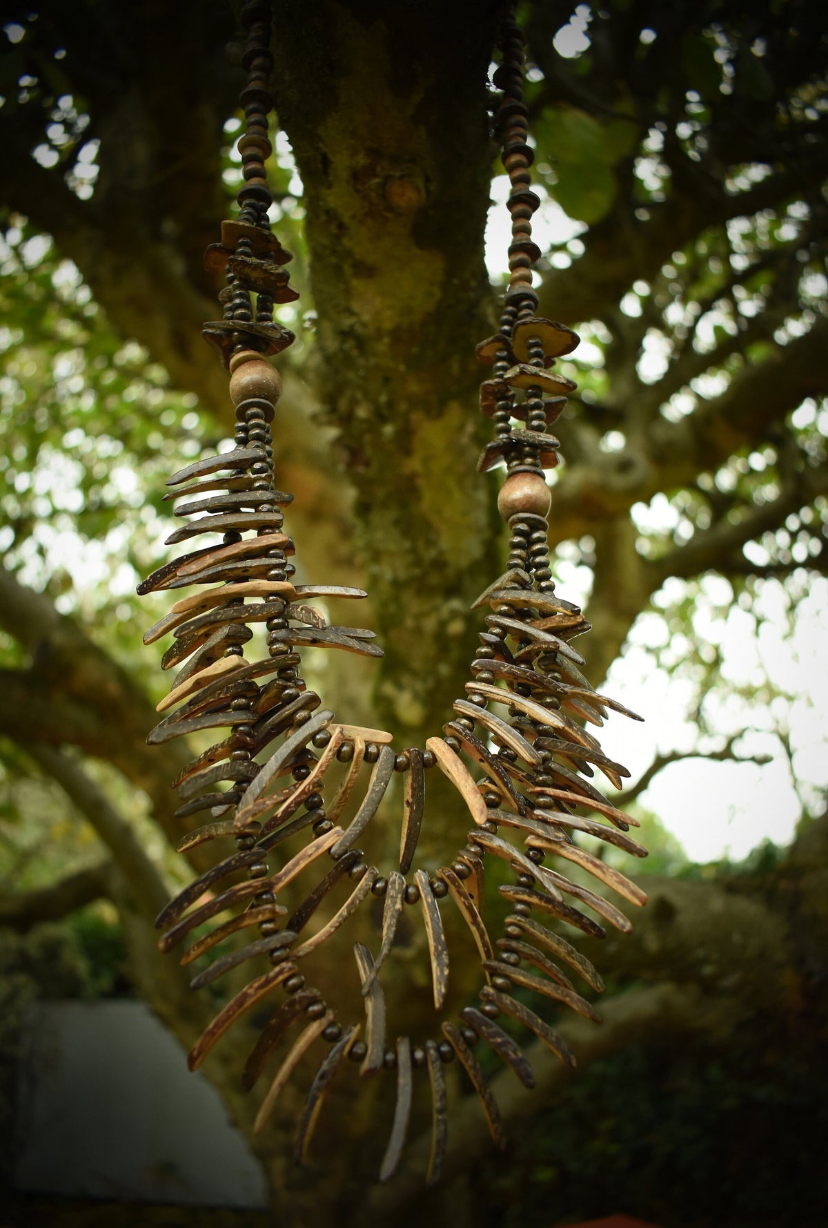 Hanging tooth necklace on tree, layered brown tones, medieval LARP style.